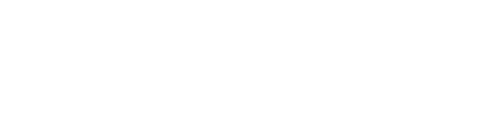 Zocks